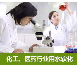 2噸/小時全自動軟水器